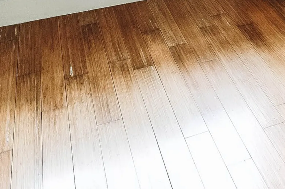 engineered hardwood olney – karpet king design center engineered hardwood olney