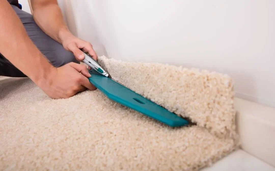 The Foundation of Proper Carpet Care