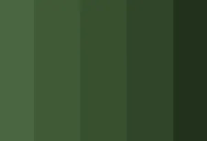 deep forest green